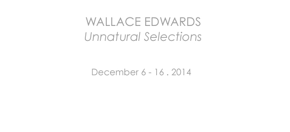 Wallace Edwards Once Upon a Line