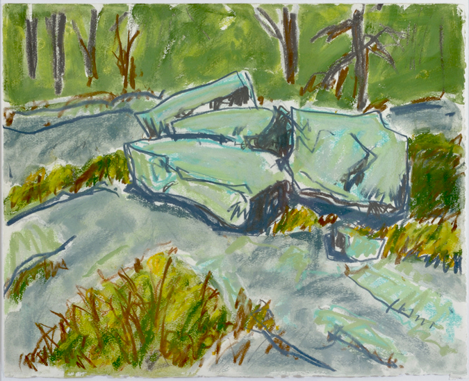 Artist: Barry Hodgson | Title: Green Lichen