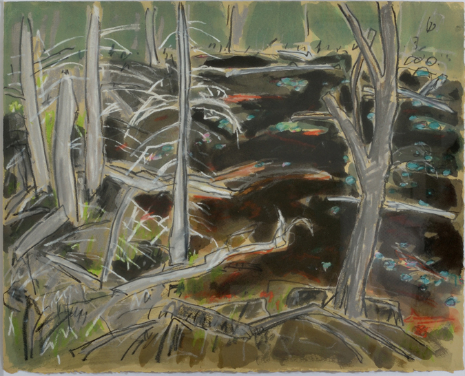 Artist: Barry Hodgson | Title: Top of the Small Beaver Pond