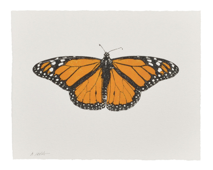 DAVID MICHAEL SCOTT Butterfly
