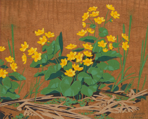 A.J. CASSON, R.C.A. (1898-1992) Marsh Marigolds