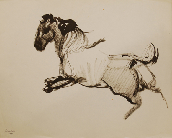 Artist: Jack Nichols Ink Drawing: Wild Horse, 1957