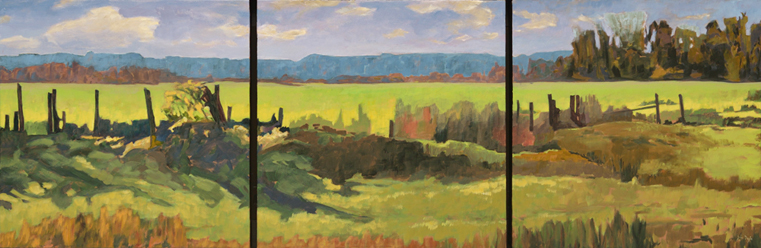 Artist: John Doyle | Painting: Escarpment and Field