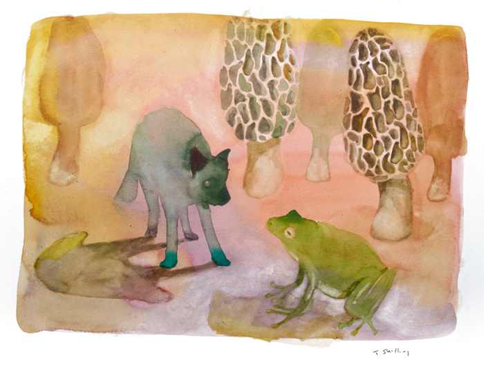 Wolf and Frog Meet by the Morels