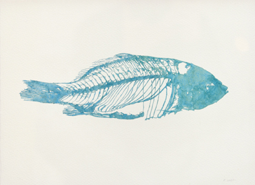 DAVID MICHAEL SCOTT Fish Skeleton - Blue
